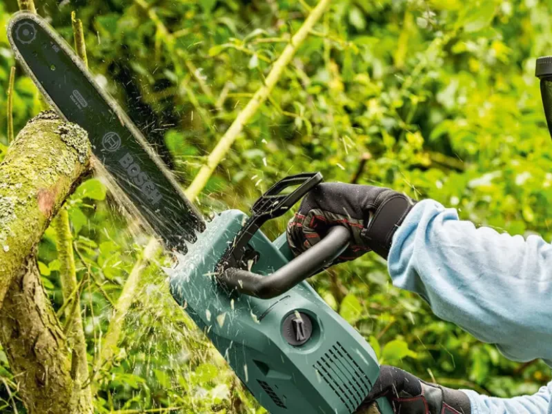 favágás láncfűrésszel