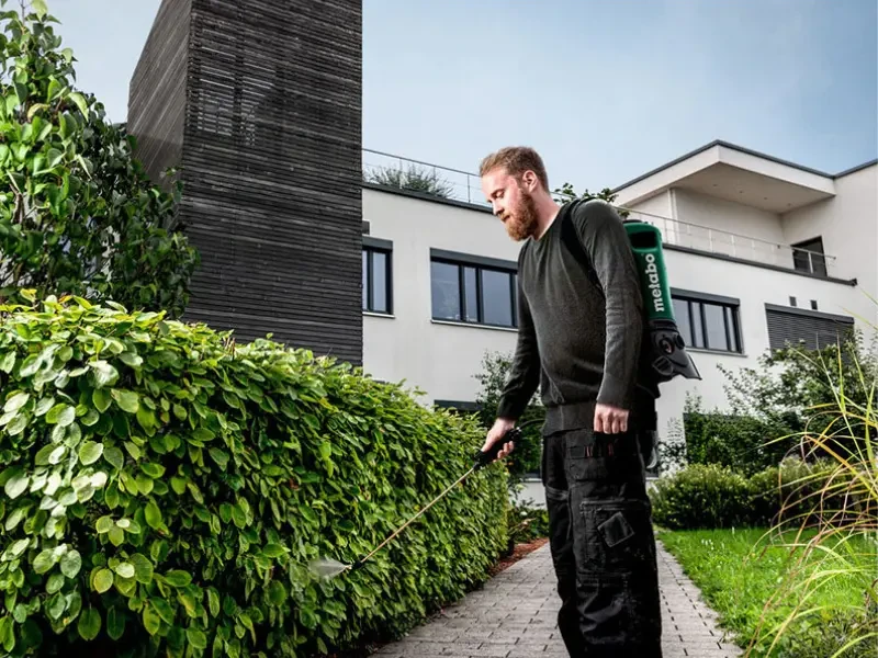 férfi sövényt permetez