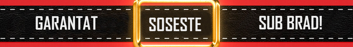 Garantáltan odaér a fa alá csik ro