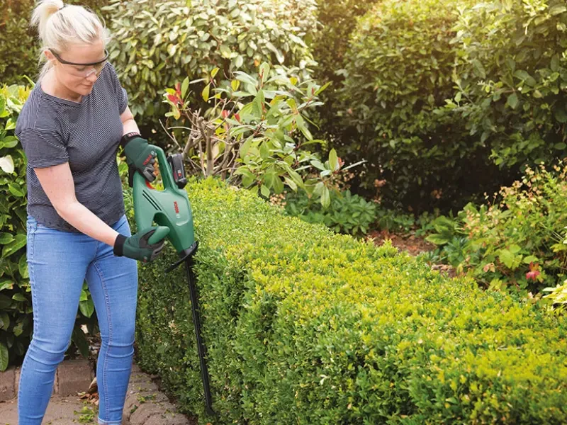 nő sövényt nyír