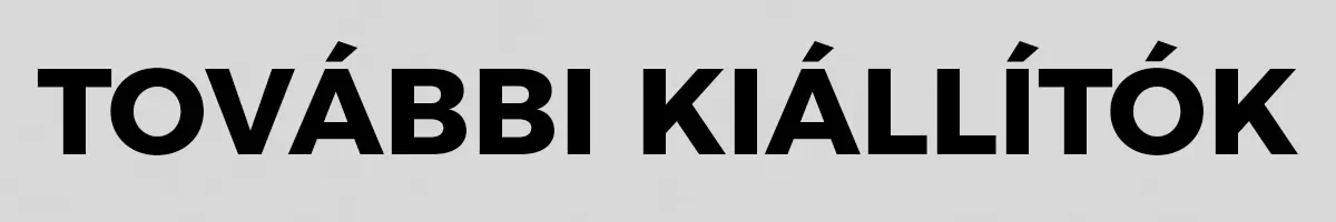 2026.04.30 SZAKMAJÁLIS Házgyár tovabbi gyartok felriat csik