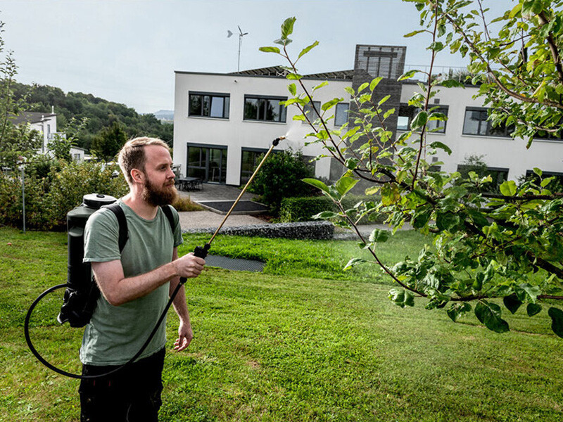 gyumolcsfa-permetezes gyumolcsfa-permetezes