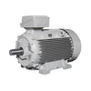 Lammers 15AA100 Háromfázisú villanymotor