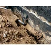 Metabo SP 220-35 S Inox búvárszivattyú szennyezett vízre Metabo SP 220-35 S Inox búvárszivattyú szennyezett vízre