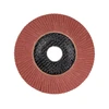 Kép: Alum. Oxide Flap Wheel Disc 125x22 120g.webp