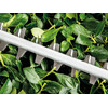 Bosch Advanced HedgeCut 36-6528 akkus sövényvágó Bosch Advanced HedgeCut 36-6528 akkus sövényvágó