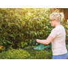 Bosch EasyHedgeCut 18-45 akkus sövényvágó Bosch EasyHedgeCut 18-45 akkus sövényvágó