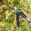 Bosch EasyPrune 3 Bosch EasyPrune