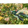 Bosch EasyPrune metszőolló Bosch EasyPrune metszőolló