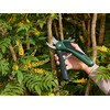 Bosch EasyPrune metszőolló Bosch EasyPrune metszőolló