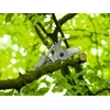 Bosch GGP18V-45EP vagasi kapacitas 45 mm_1 Kép: Bosch GGP18V-45EP vagasi kapacitas 45 mm_1.webp