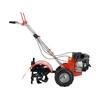 PETROL GARDEN TILLER 48CM Kép: PETROL GARDEN TILLER 48CM.webp