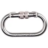 Screwgate Carabiner