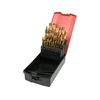 TWIST DRILL BIT SET HSS-TiN 25PCS 1-13MM Kép: TWIST DRILL BIT SET HSS-TiN 25PCS 1-13MM.webp
