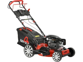 Kép: 101611166.webp