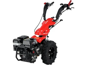 Kép: 101611185.webp