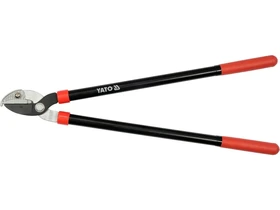 Kép: 105010368.webp