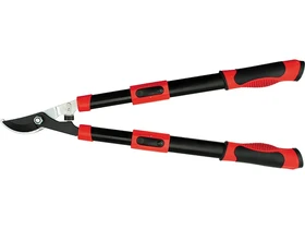 Kép: 105010374.webp