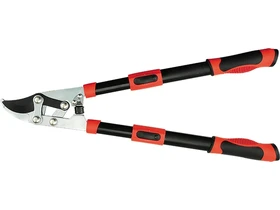 Kép: 105010375.webp