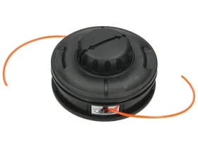 Damilfej Kép: Damilfej.webp