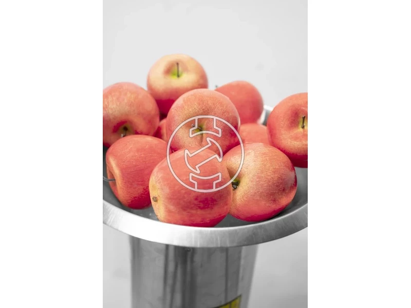 Güde GOH 1500 elektromos gyümölcsdaráló