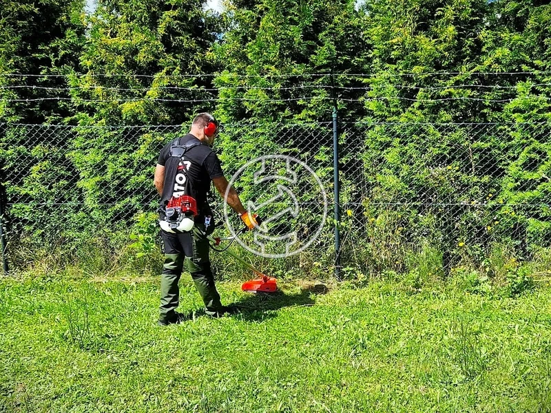 Kép: 101611110_17.webp