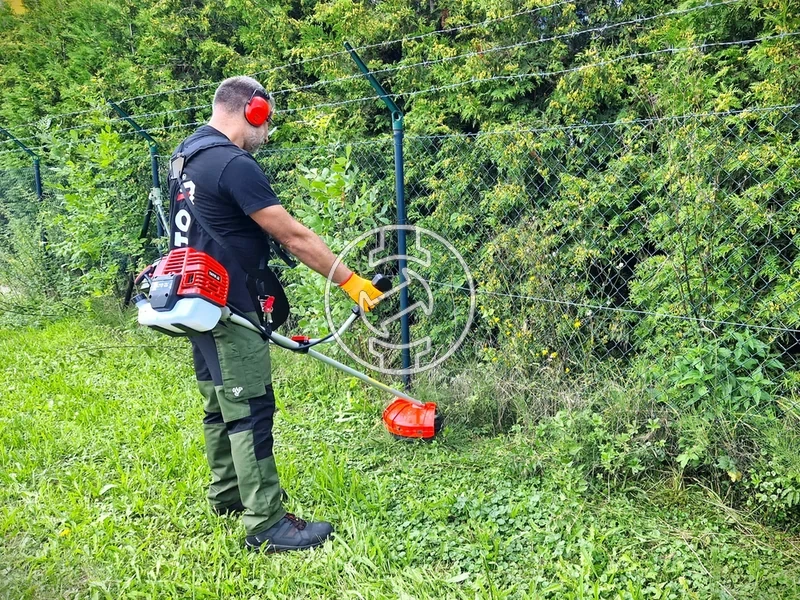 Kép: 101611111_20.webp