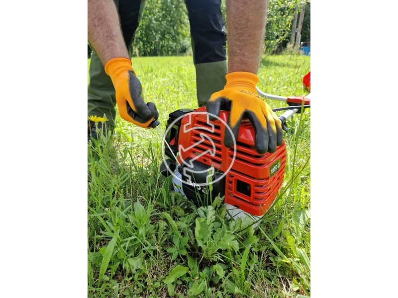 Kép: 101611111_24.webp