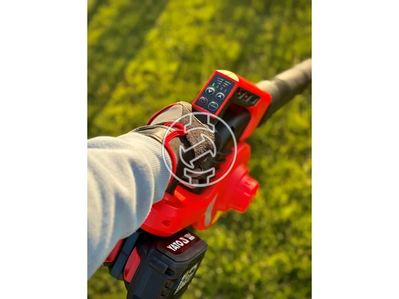 Kép: 101611115_8.webp