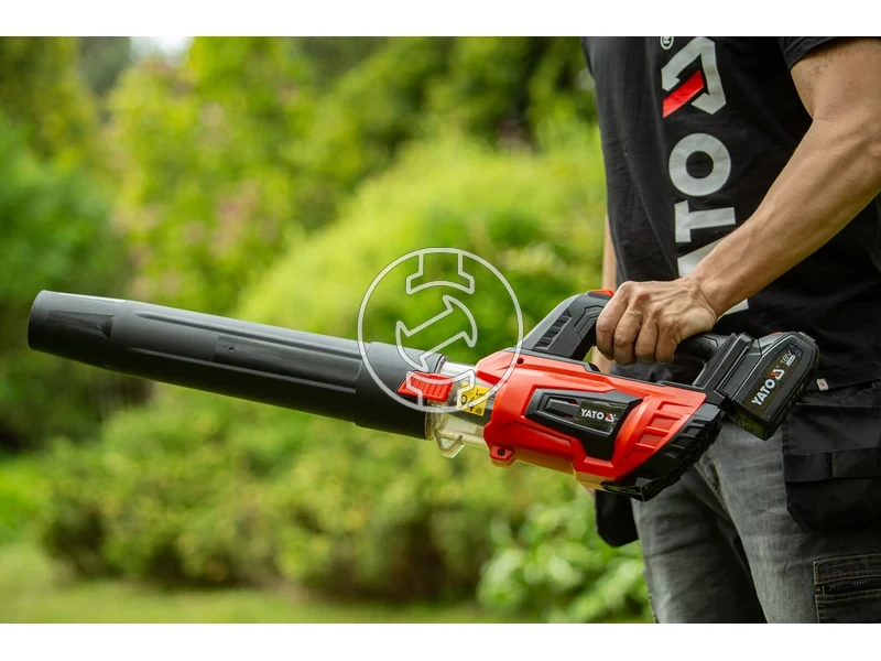 Kép: 101611117_3.webp