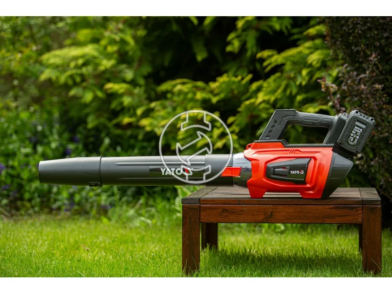 Kép: 101611119_4.webp