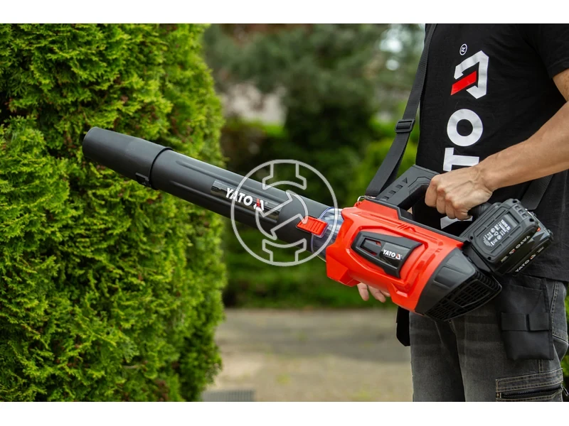 Kép: 101611119_5.webp