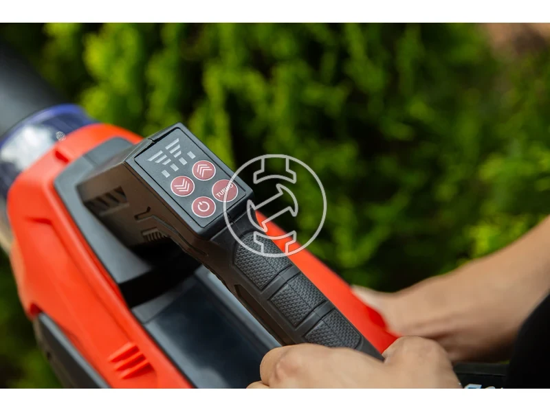 Kép: 101611119_6.webp