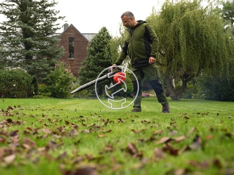 Kép: 101611122_11.webp