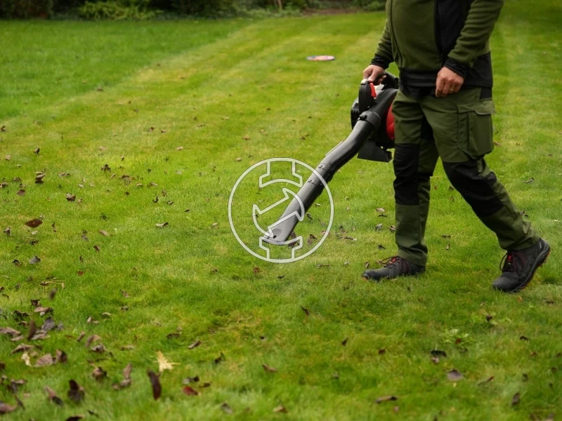 Kép: 101611122_9.webp