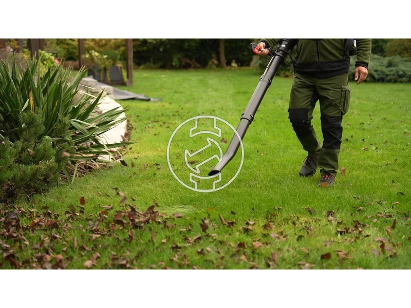 Kép: 101611123_11.webp