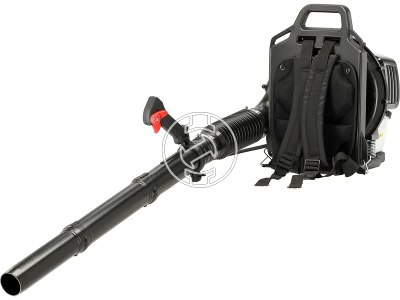 Kép: 101611123_2.webp