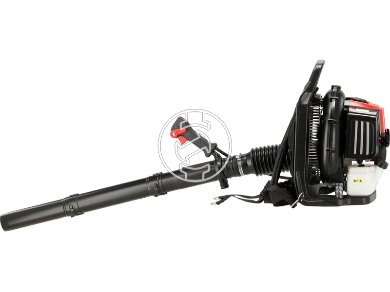 Kép: 101611123_4.webp