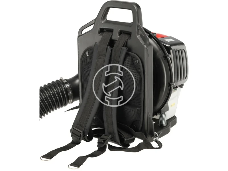 Kép: 101611123_6.webp