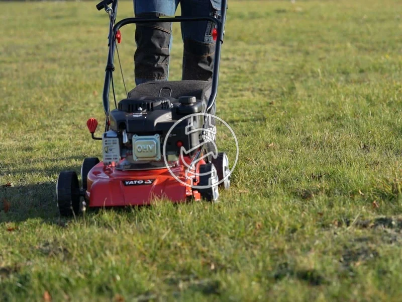 Kép: 101611162_14.webp