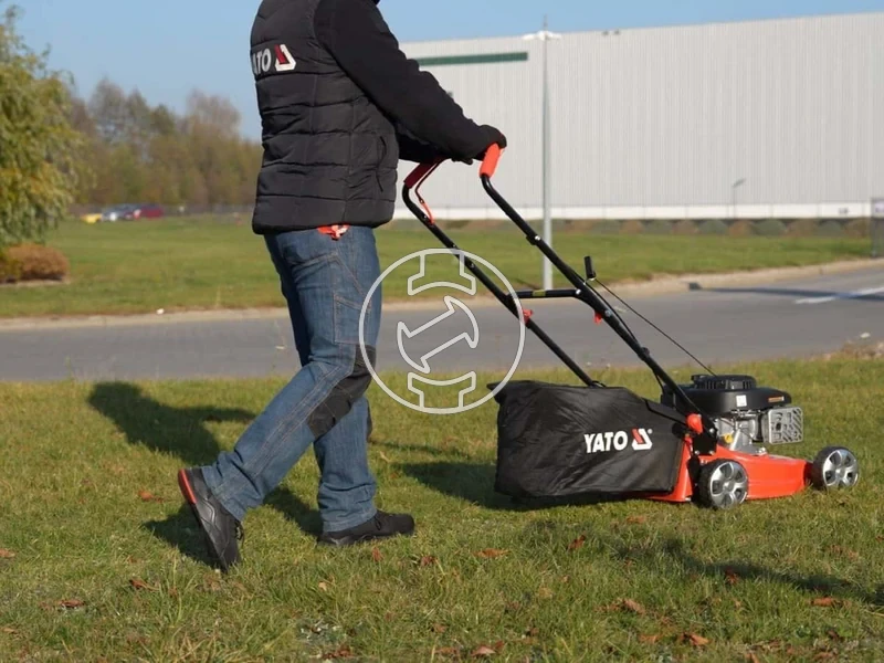 Kép: 101611162_15.webp