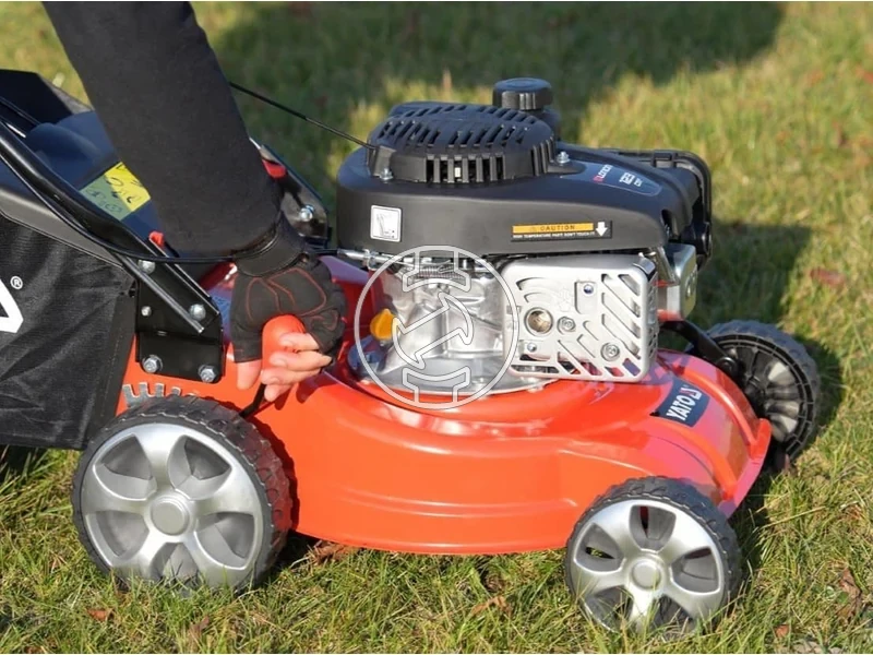 Kép: 101611163_14.webp