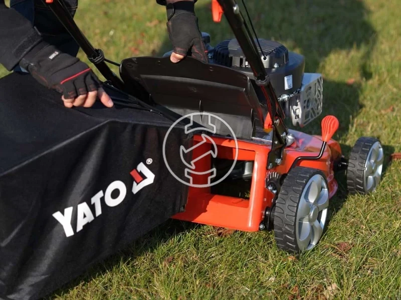 Kép: 101611163_15.webp