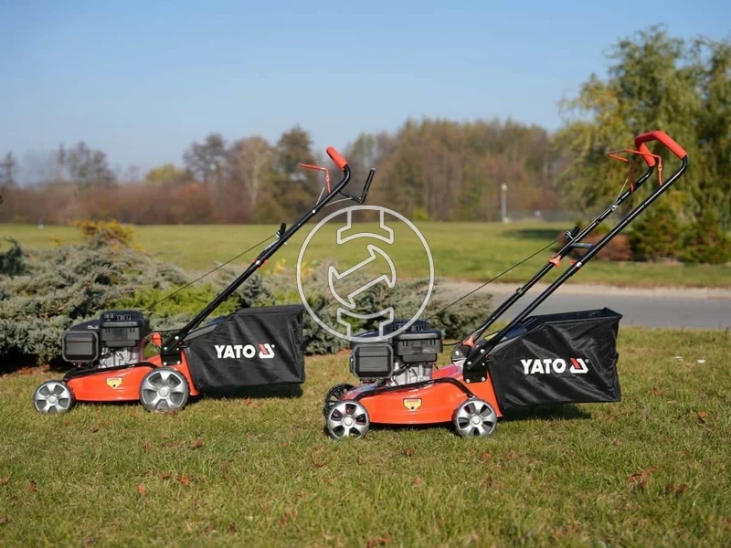 Kép: 101611163_16.webp