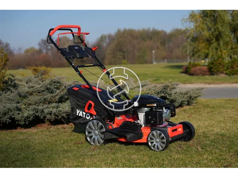 Kép: 101611165_17.webp