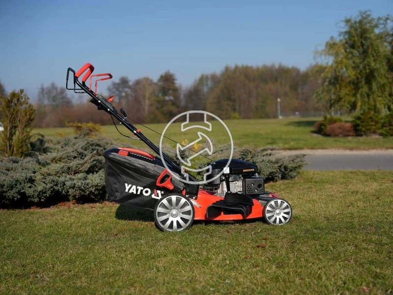 Kép: 101611166_19.webp