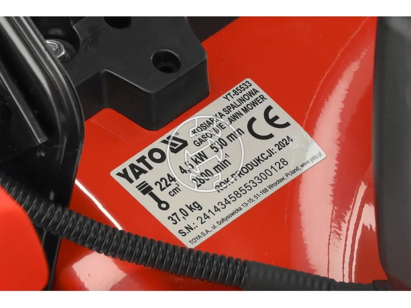 Kép: 101611167_19.webp