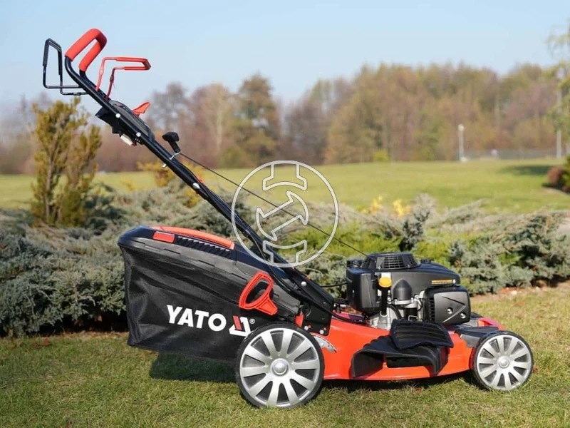 Kép: 101611167_21.webp