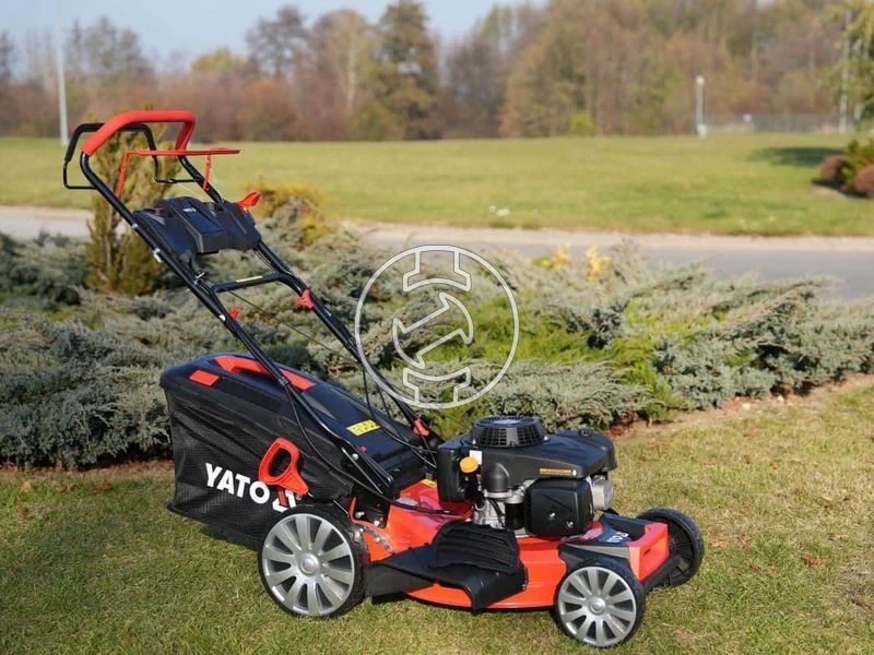 Kép: 101611167_22.webp