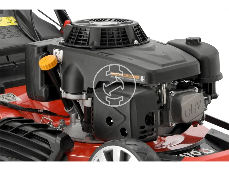 Kép: 101611167_6.webp